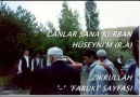 HÜSEYNİM ŞEHİT EDİLDİ BUNA CANLAR DAYANMAZ