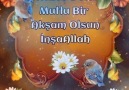 Huzur DoluMutlu Akşamlar