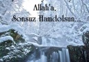 Huzur Sokağım .... Güz Gülleri