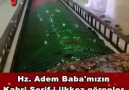 Hz Adem Babamız Kabri Şerif