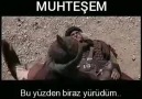 Hz Ali r.a ile mr Karşı karşıya... - Hz Yusuf&Hayatı