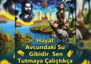 Hz Ali&sözleri - Akan sular düşer bir gün Engine cahil söz söylese neyler kendine