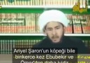 hz ebubekir ve hz ömer'e hakaret eden şii imamları