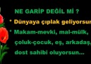 Hz. Mevlana - Ne garip değil mi