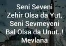 Hz. Mevlananın güzel ve özlü sözleri