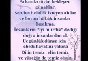 Hz.Mevlna İlhi Aşk - instagram &talipbasarsozleri Facebook