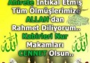 Hz Muhammed AşkıEski Özlü Sözler