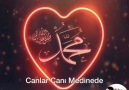 Hz Muhammed - Canlar Canı Medine&