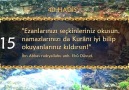 Hz Muhammedin Hikmet dolu 40 sözü dinleyelim