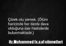 Hz.Muhammed (s.a.v) sünnetleri