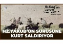 Hz Yakub&Sürüsüne Kurt Saldirıyor.