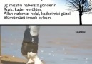 Hz Yusuf&Hayatı - amin denilecek bir dua Facebook