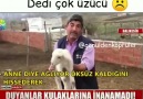 Hz Yusuf&Hayatı - anne diye meleyen kuzu Facebook