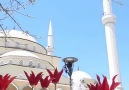 Hz Yusuf&Hayatı - Hz Ömer Cami Laleler Huzur Verici... Facebook