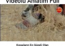 Hz Yusuf&Hayatı - YUSUF SURESİ VİDEOLU ANLATIM Facebook