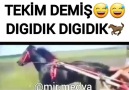 İçimdeki Kadın - Anası çağırsa böyle gitmez...