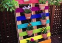 Ideas with Recycled Pallets!