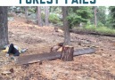 If a tree fails in a forest and no one is there to hear it does it make a sound