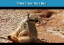 İftara 1 saat kala ben