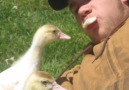 If you cant adopt a dog or cat maybe you should get a pet duck