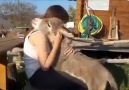 If you love Baby DONKEY TYPE Yesand share this beautiful video