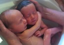 İkiz Bebekler Banyo Yapıyor :)