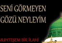 İlahiler - SENİ GÖRMEYEN GÖZÜ NEYLEYİM Facebook