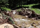 ILGAZ DAĞI BALDIRAN DERESİ
