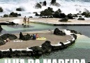 Ilha da Madeira a Prola do Atlntico!Vdeo de Portugal cool