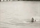Ilk defa seyrettiğim bir video... beğenmeden gecmeyelim