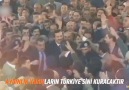 İlk günkü aşkla heyecanla Milim... - Nazlı Turna Yumuşak