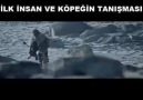 İlk İnsan ve Köpeğin Tanışması...