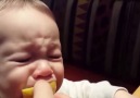 İlk kez limon tadan bebeklerin komik halleri