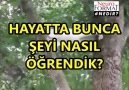 İLK ÖĞRETMENİNİZİ HATIRLIYOR MUSUNUZ