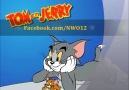 Illuminati And Tom& Jerry Cartton