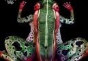 Illusion body paintingVC- culture trip.Artist-johannes stotter