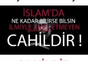 İLMİYLE AMEL ETMEYEN CAHİLİDİR