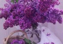 I love lilacs!**..**