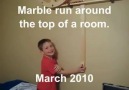 I Love Woodworking - Marble Track How Fun for Him! Facebook