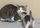 I love you mama.