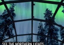 Imagine being able to watch the Northern Lights from here