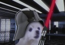 Imperial Borks