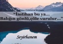 İmtihan bu ya Balığın gönlü çöle vurur.