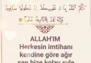 İmtihan dünyası - Aminnn