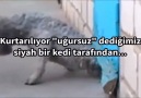 İNANILMAZ Bİ VİDEO LÜTFEN İZLEYİNİZ ŞOK OLACAKSINIZ