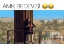 İn aşagııı amk bedevisii