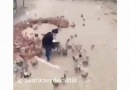 İNCİ le 22 novembre 2018