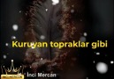 İnci Mercan - İnci Mercan Ateşlerde Yanacağım...