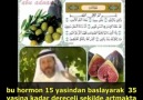 İncir ve Zeytin- 7 Japon araştırmacının Müslüman oluş hikayesi