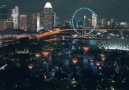 Incredible Nature - Light Show at Gardens by the Bay Singapore